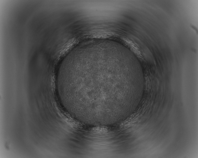 X0000097810354200803281104