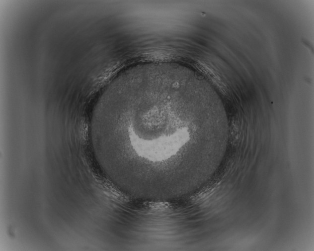 X0000097810355200803281104