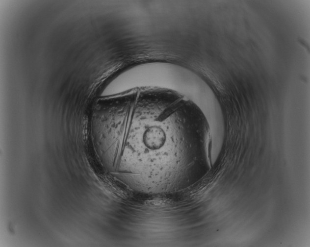 X0000097810356200803281104