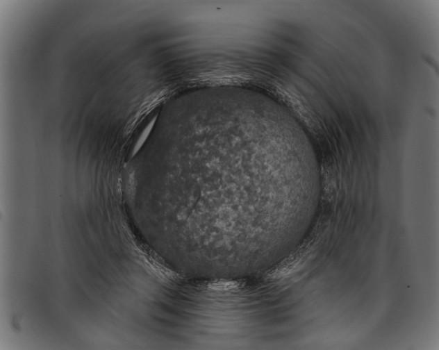 X0000097810357200803281104