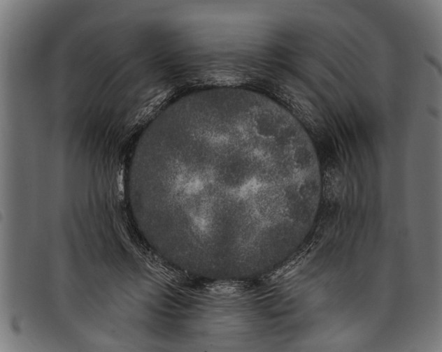 X0000097810358200803281104