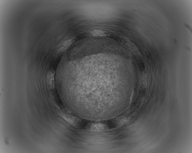 X0000097810360200803281104