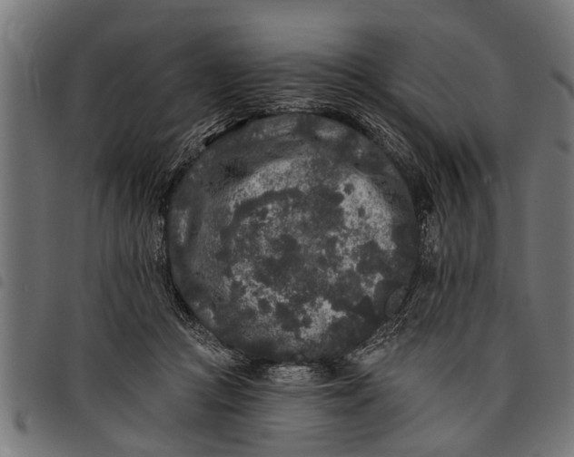 X0000097810361200803281104