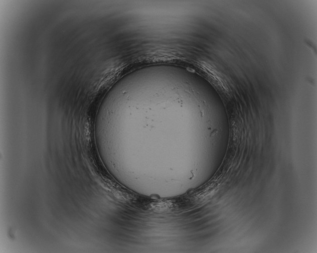 X0000097810362200803281104