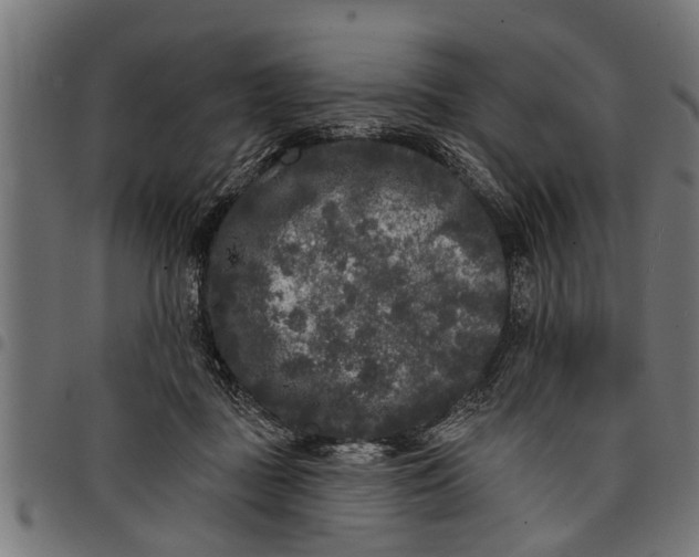 X0000097810363200803281104