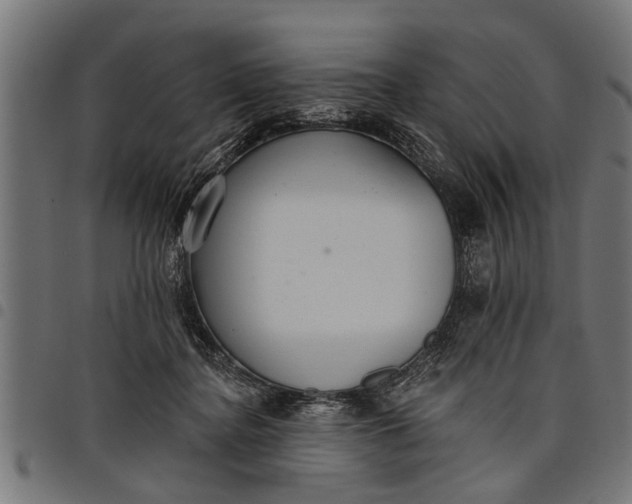 X0000097810364200803281104