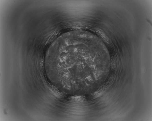 X0000097810365200803281104