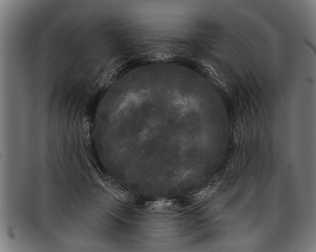 X0000097810366200803281104