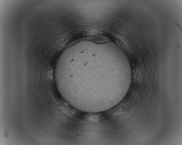 X0000097810368200803281104