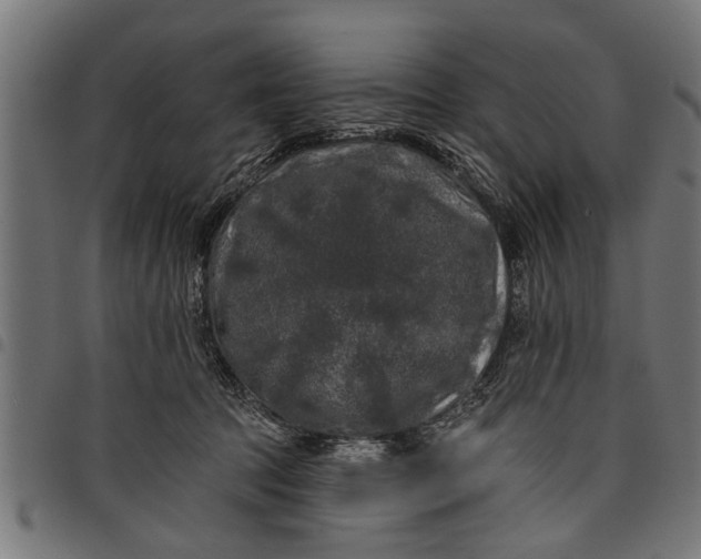 X0000097810369200803281104