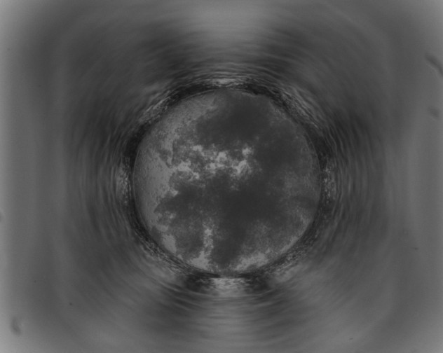 X0000097810371200803281104