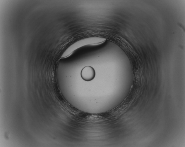 X0000097810372200803281104