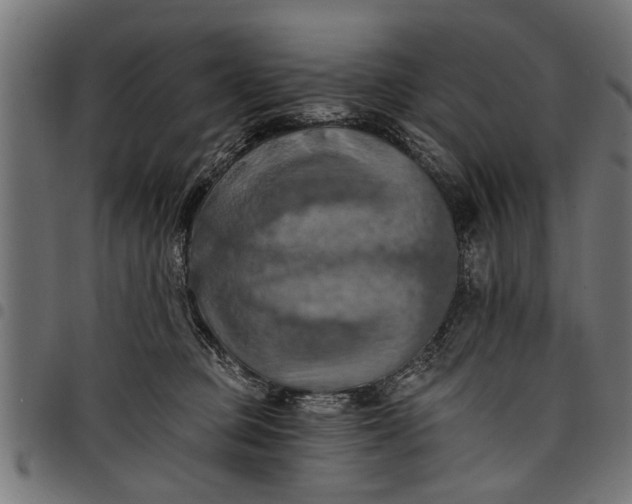 X0000097810373200803281104