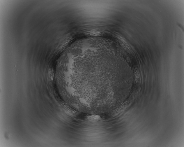 X0000097810374200803281104