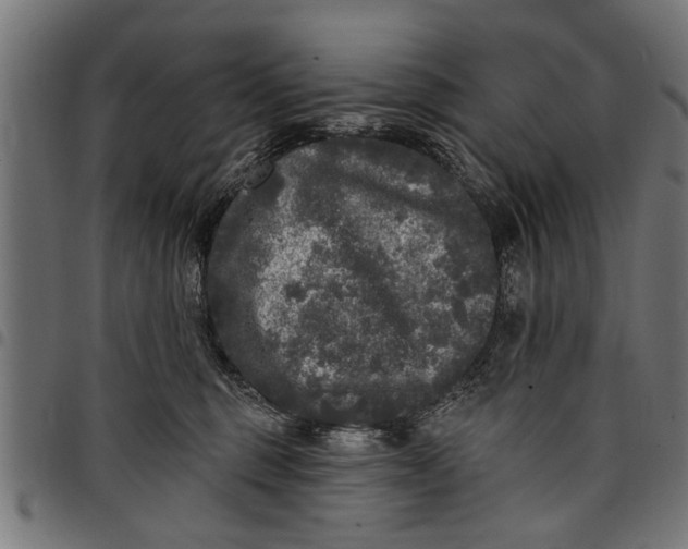 X0000097810375200803281104