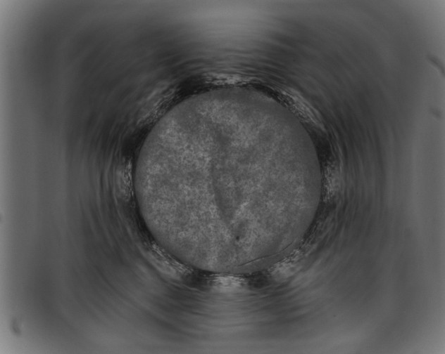 X0000097810376200803281104