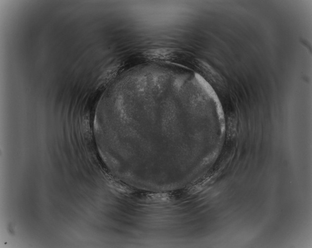 X0000097810377200803281104