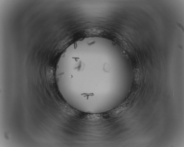 X0000097810378200803281104