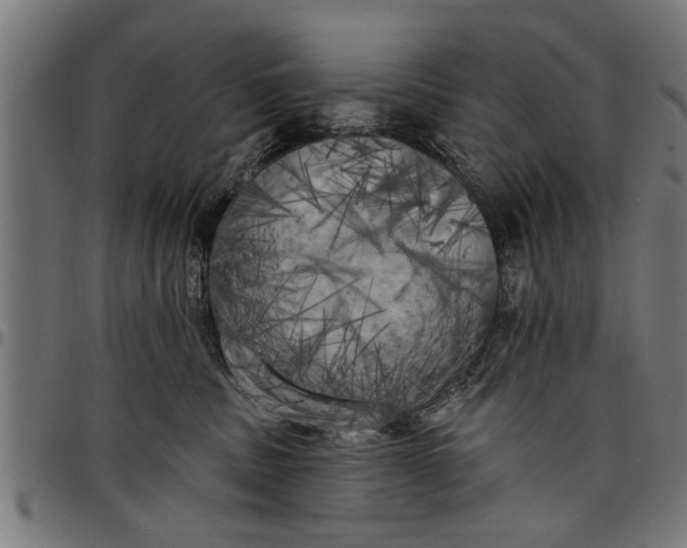 X0000097810379200803281104