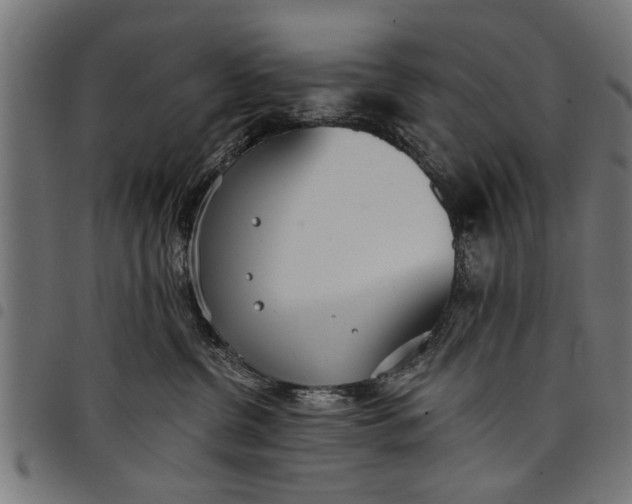 X0000097810380200803281104