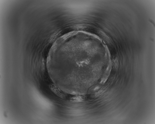 X0000097810381200803281104