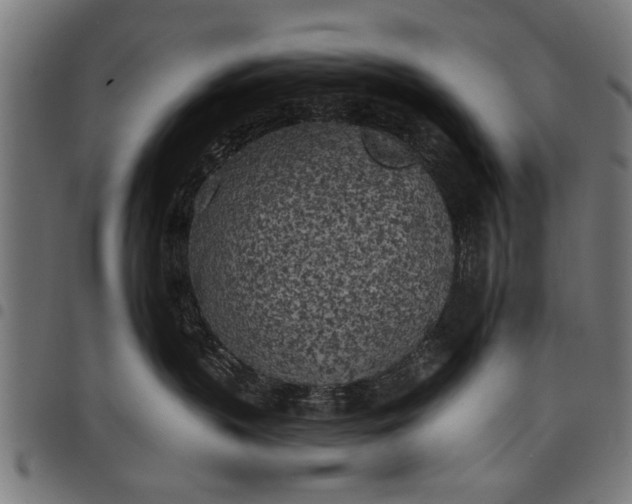 X0000097810383200803281104