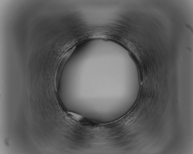 X0000097810385200803281103