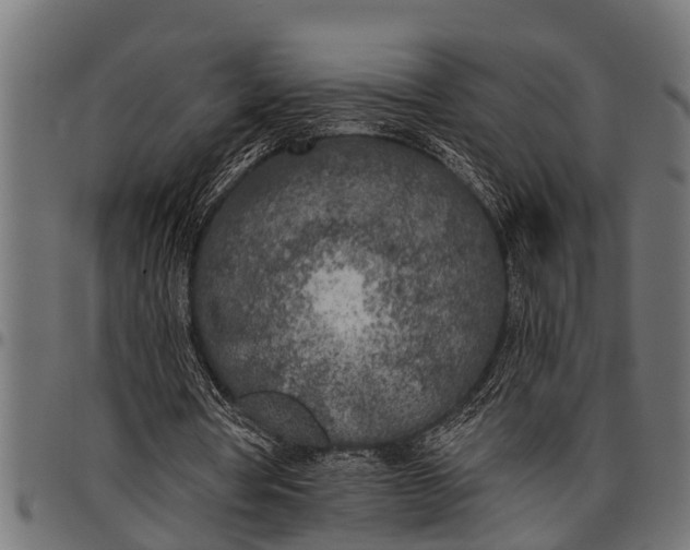 X0000097810386200803281103