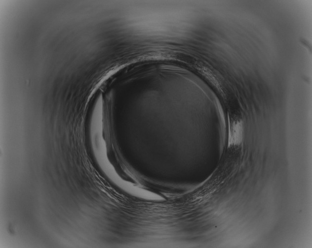 X0000097810387200803281103