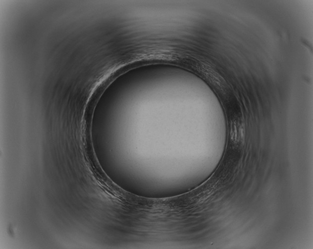 X0000097810388200803281103