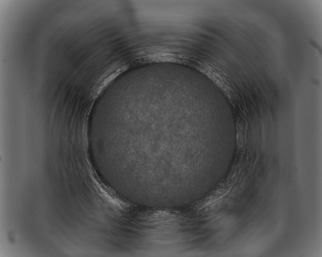 X0000097810390200803281103