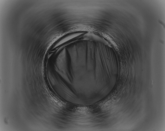 X0000097810391200803281103