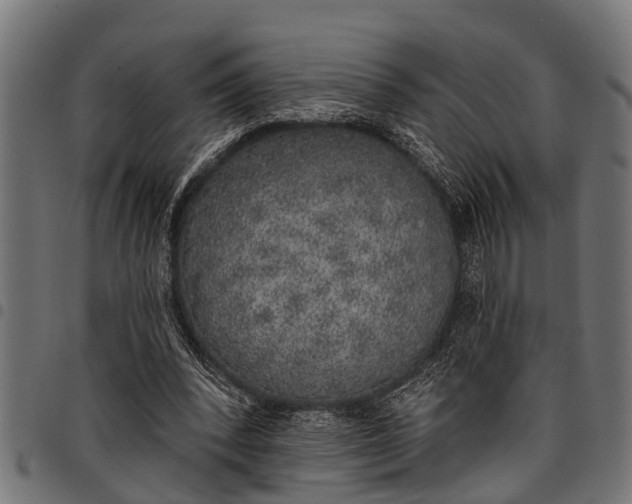 X0000097810392200803281103