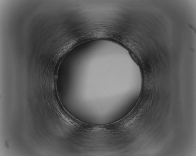 X0000097810393200803281103