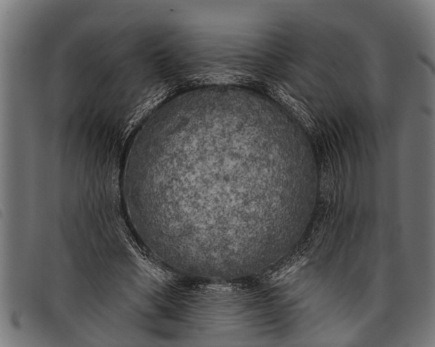 X0000097810394200803281103