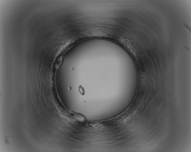 X0000097810395200803281103