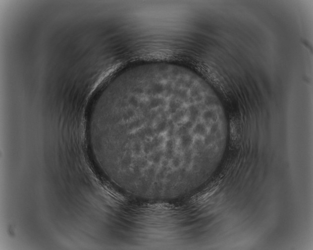 X0000097810396200803281103