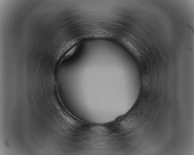 X0000097810397200803281103