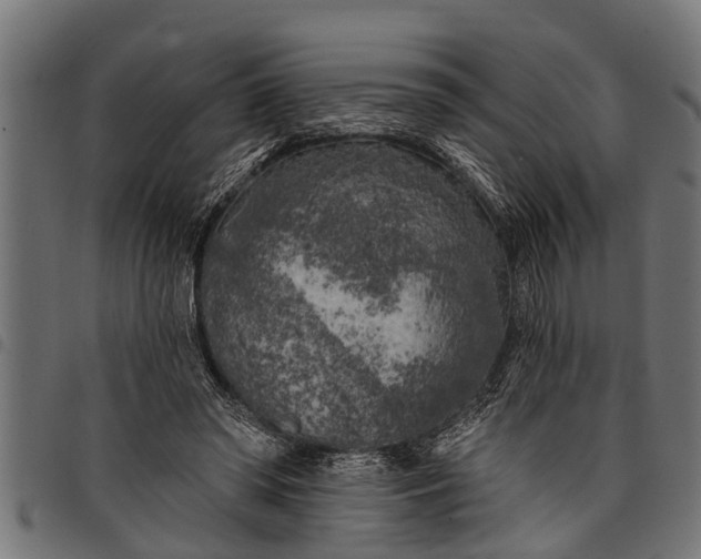 X0000097810398200803281103