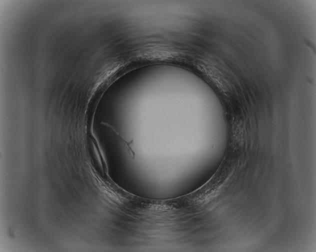 X0000097810399200803281103