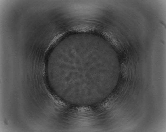 X0000097810400200803281103