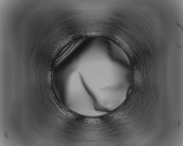 X0000097810401200803281103