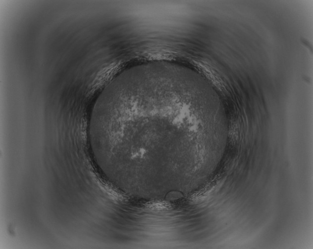 X0000097810402200803281103