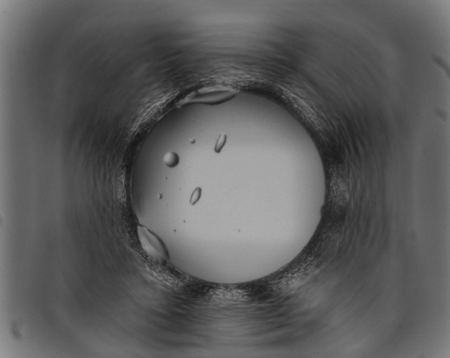 X0000097810403200803281103