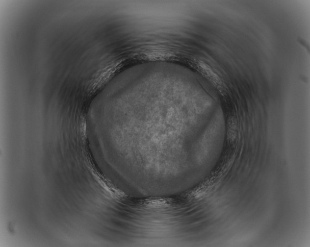 X0000097810405200803281103