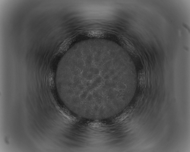 X0000097810408200803281103