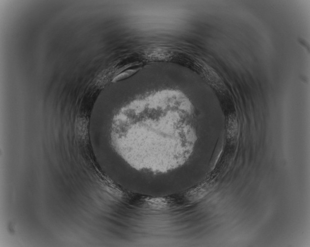 X0000097810409200803281103