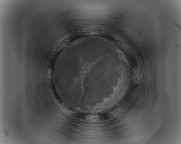 X0000097810410200803281103