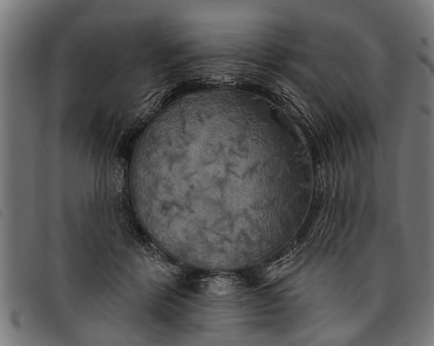 X0000097810412200803281103