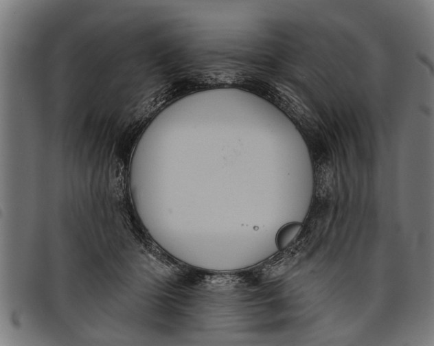 X0000097810414200803281103